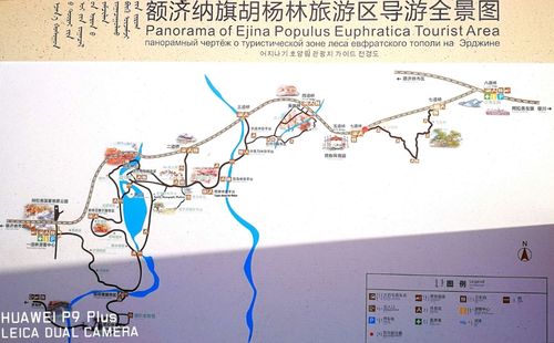 胡杨林旅游-胡杨林旅游攻略最佳路线图