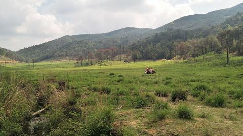 宁德仙山牧场-宁德仙山牧场在哪里