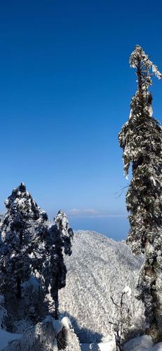 瓦屋山旅游攻略-四川瓦屋山旅游攻略