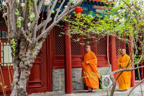 法源寺-法源寺广如法师