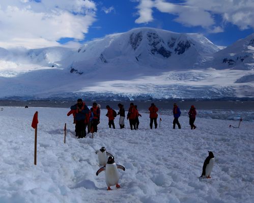 南极旅游-南极旅游需要多少费用
