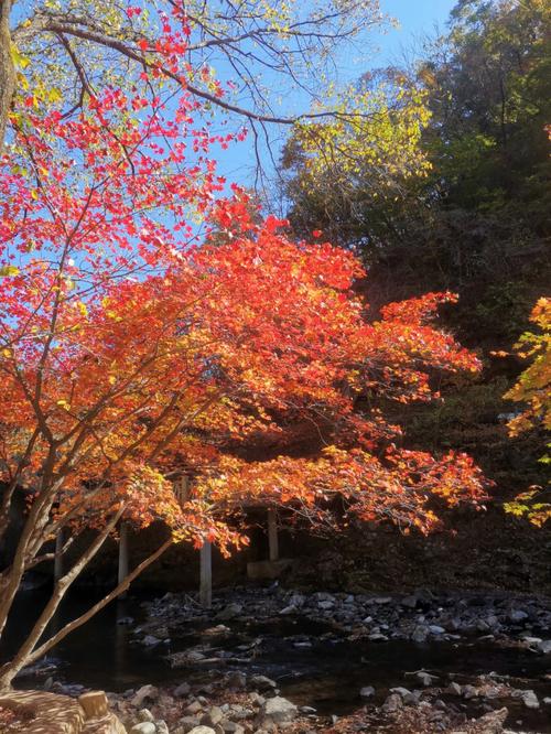 本溪关门山-本溪关门山风景区