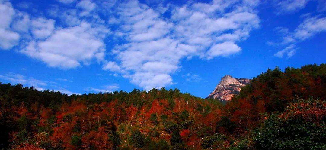 新丰云髻山-新丰云髻山景区介绍