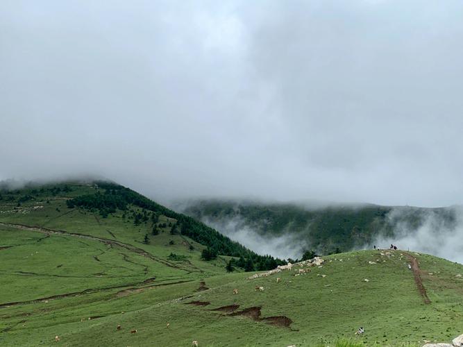 娄烦云顶山-娄烦云顶山风景区