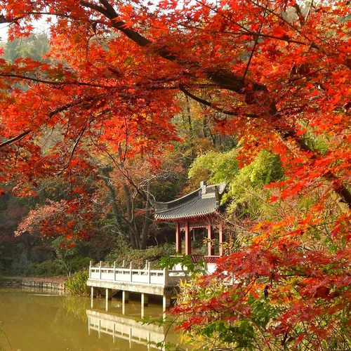 栖霞山门票-栖霞山门票多少钱一张