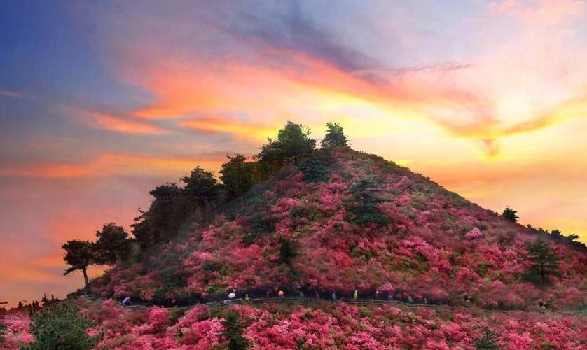 黄陂云雾山-黄陂云雾山风景区