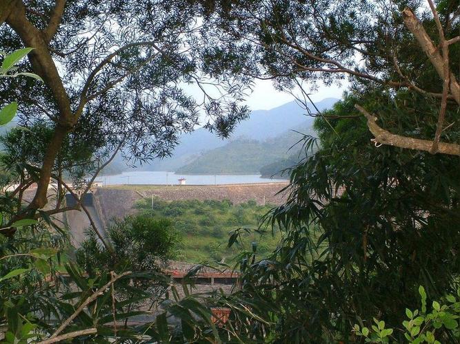 厦门坂头水库-厦门坂头水库简介