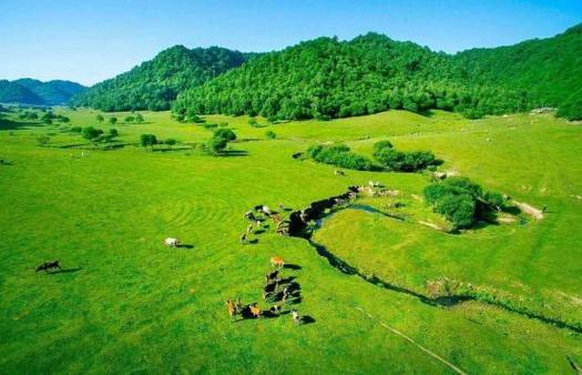 关山旅游-关山旅游风景区