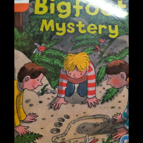 bigfoot攻略-the bigfoot mystery