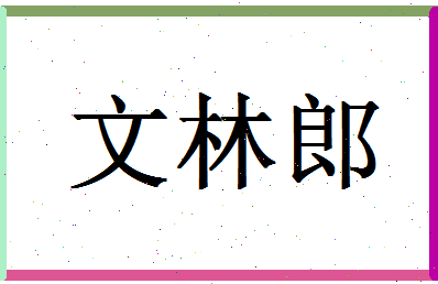 文林-文林名字的含义