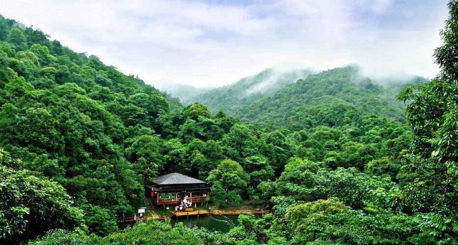 万绿谷-万绿谷休闲度假风景区