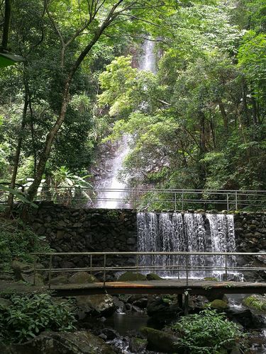 野趣沟-野趣沟风景区简介