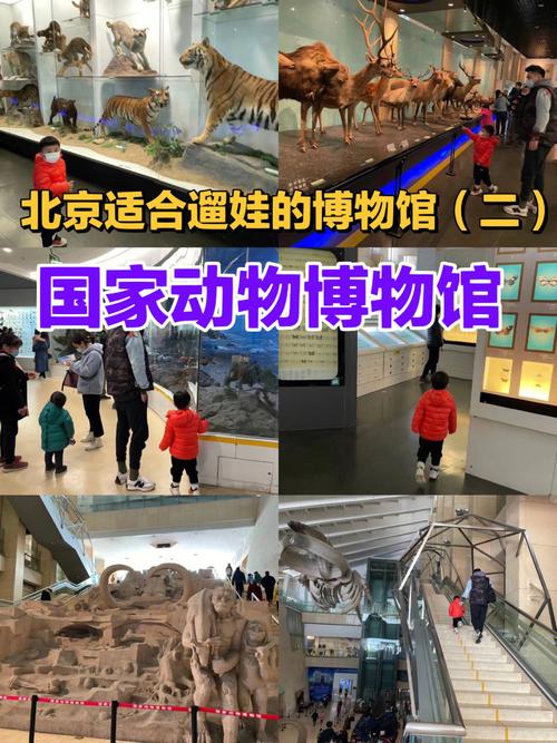 北京动物博物馆-北京动物博物馆预约官网