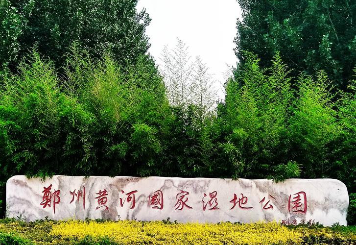郑州黄河湿地公园-郑州黄河湿地公园现在开放吗