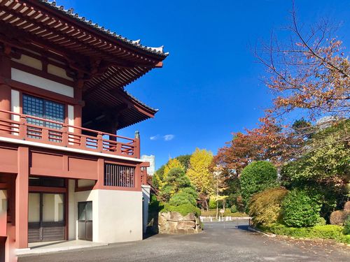 增上寺-东京增上寺