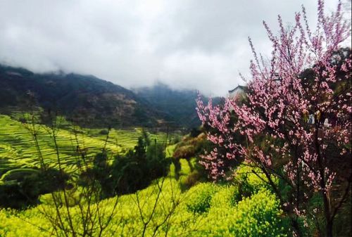 风景区天气预报-婺源风景区天气预报15天